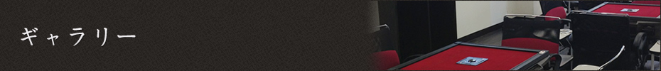 ギャラリー